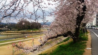 DSC_1970 aa.jpg