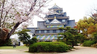 岡山城　ポップ　桜DSC_1930 - コピー のコピー.jpg