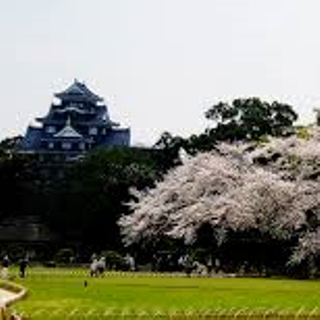 岡山城 後楽園l 桜 sd.png