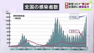 日本感染者数　1114Hu.jpg